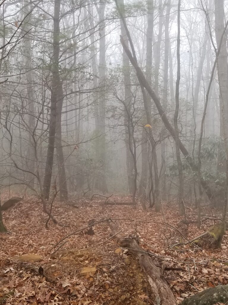 Rolling Fog on Liberty Ridge