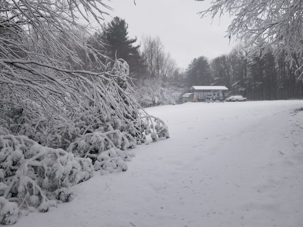 liberty ridge in the snow