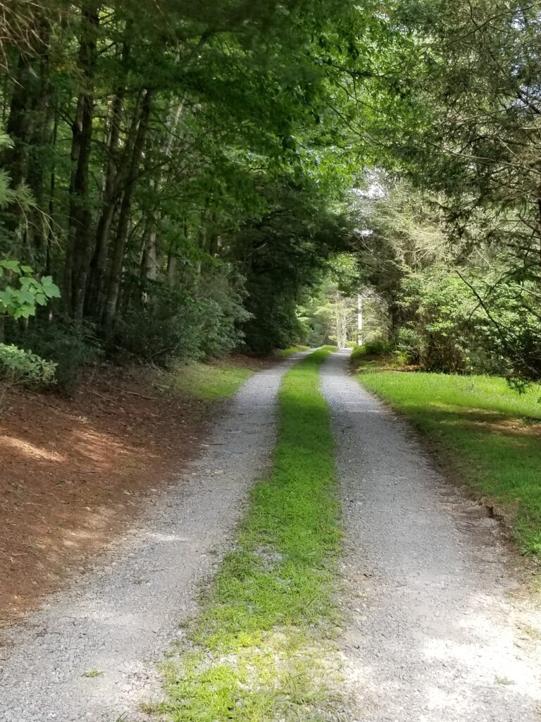 road leading to liberty ridge